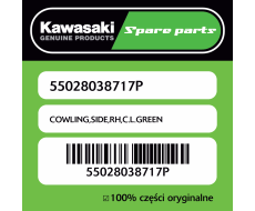 Owiewka boczna prawa C.L.GREEN Kawasaki