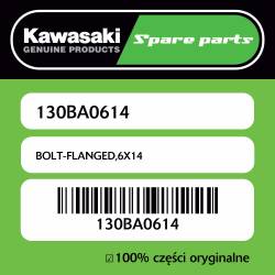 BOLT-FLANGED,6X14