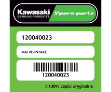 VALVE-INTAKE