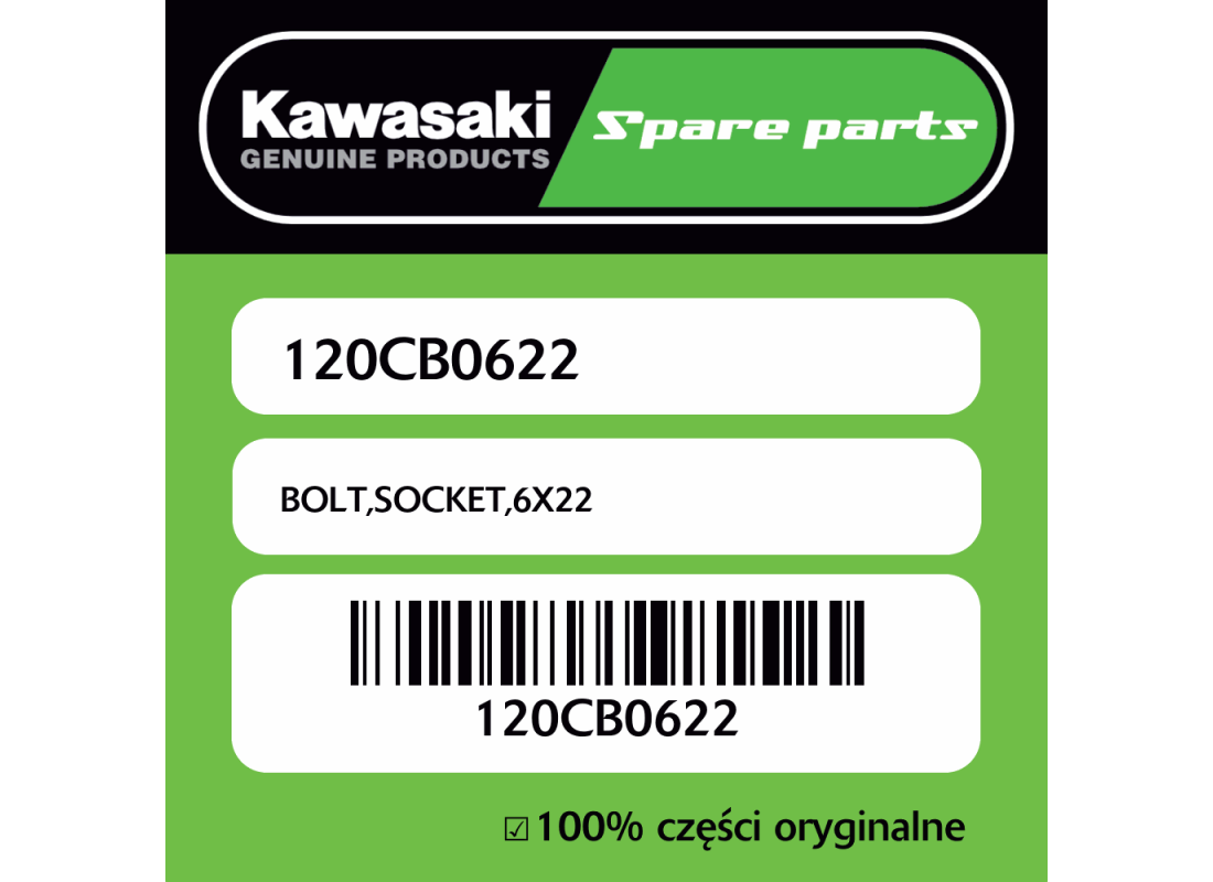 BOLT,SOCKET,6X22