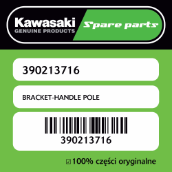 BRACKET-HANDLE POLE