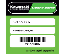 PAD,HEAD LAMP,RH