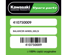 BALANCER-WHEEL,30G,SI