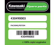 PACKING,PISTON