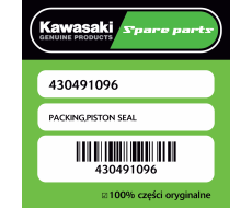 PACKING,PISTON SEAL