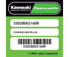 COWLING,SIDE,RR,LH,E.
