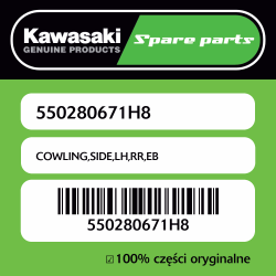 COWLING,SIDE,LH,RR,EB