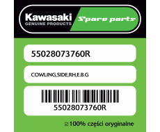 Owiewka boczna prawa E.B.G Kawasaki