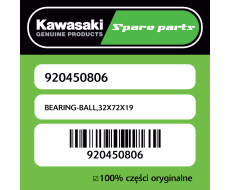 BEARING-BALL,32X72X19