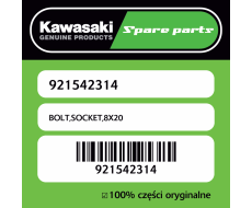 Śruba imbusowa 8X20 Kawasaki