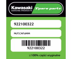 NUT,CAP,6MM