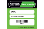 NGK SPARK-PLUG B9EG