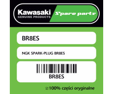 NGK SPARK-PLUG BR8ES