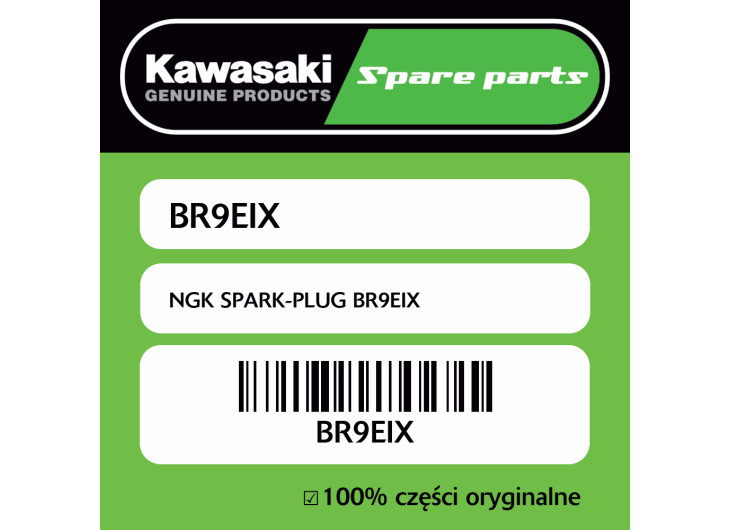 NGK SPARK-PLUG BR9EIX