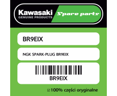 NGK SPARK-PLUG BR9EIX