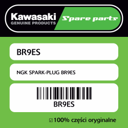 NGK SPARK-PLUG BR9ES