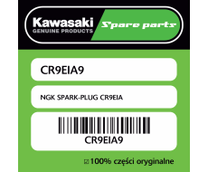 NGK SPARK-PLUG CR9EIA