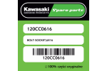 Śruba imbusowa 6X16 Kawasaki