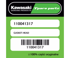 GASKET-HEAD