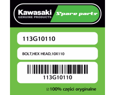 Śruba hex 10X110 Kawasaki
