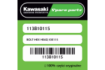 Śruba hex 10X115 Kawasaki