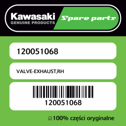 VALVE-EXHAUST,RH