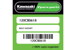 Śruba imbusowa Kawasaki