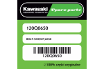 Śruba imbusowa 6X50 Kawasaki