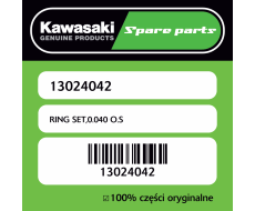 RING SET,0.040 O.S