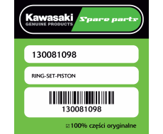 RING-SET-PISTON
