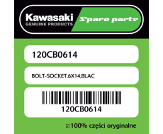 BOLT-SOCKET,6X14,BLAC