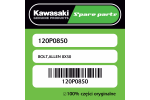 Śruba imbusowa 8X50 Kawasaki