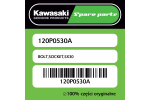 Śruba imbusowa 5X30 Kawasaki