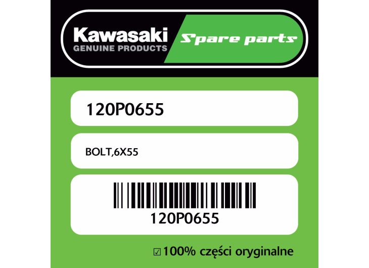 Śruba 6X55 Kawasaki