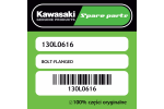 Śruba z kołnierzem Kawasaki