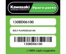 Śruba z kołnierzem 6X100 Kawasaki