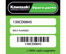 Śruba z kołnierzem Kawasaki