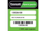 Śruba z kołnierzem 6X100 Kawasaki