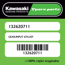 GEAR,INPUT 6TH,20T