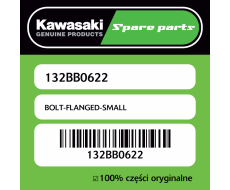 BOLT-FLANGED-SMALL