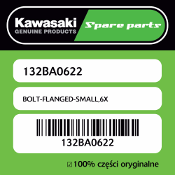 BOLT-FLANGED-SMALL,6X
