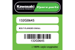 BOLT-FLANGED-SMALL