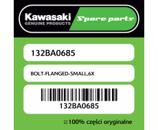 BOLT-FLANGED-SMALL,6X