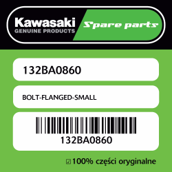 BOLT-FLANGED-SMALL