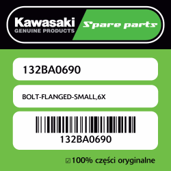 BOLT-FLANGED-SMALL,6X