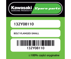 BOLT-FLANGED-SMALL