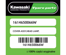 COVER-ASSY,HEAD LAMP,