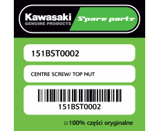 CENTRE SCREW/ TOP NUT