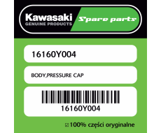 BODY,PRESSURE CAP