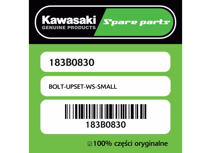 Śrubka WS Kawasaki